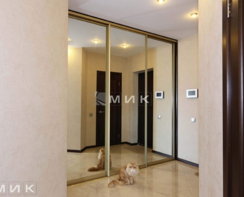 шкаф-купе-на-фото-124