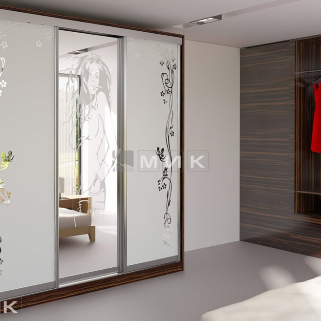 стильный-шкаф-купе-на-фото-222 стильный-шкаф-купе-на-фото-222