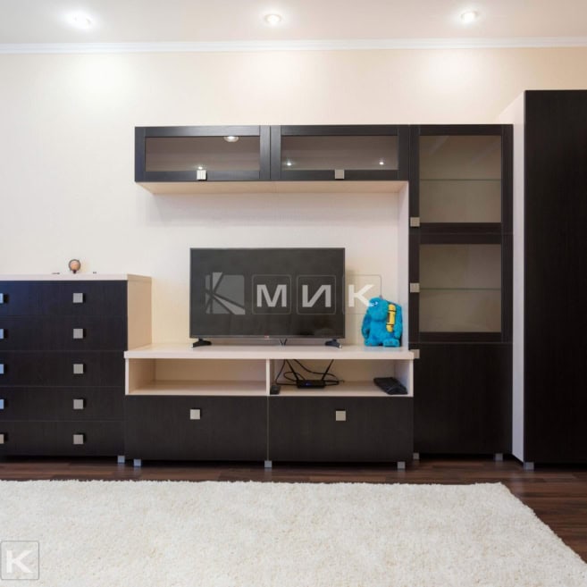 Стенка-в-гостиную-из-ДСП-(пчелки-5)-1003