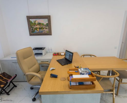 дизайн кабинета-руководителя-женщины-1008 дизайн кабинета-руководителя-женщины-1008