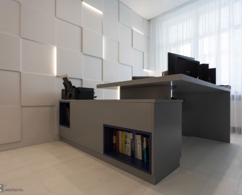 Ниши для книг-из-крашеного-МДФ-1005 Ниши для книг-из-крашеного-МДФ-1005